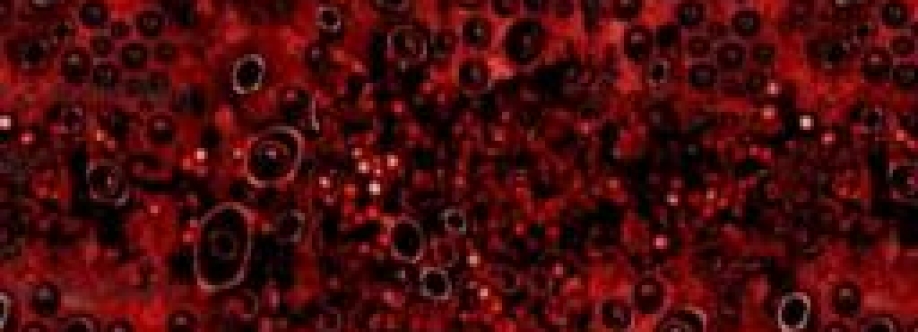 666 Cover Image